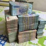 Tài sản góp vốn